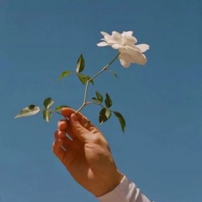 荣耀龙城内购破解版下载